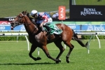 God Has Spoken On Path To The Mornington Cup God Has Spoken On Path To The Mornington Cup