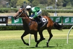 Long Leaf kicks off campaign in Blue Diamond Preview