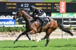 Waterhouse Chases Eighth Doncaster Mile Win with Ecuador