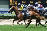 Eden Roc a different horse with winkers on in Hinchinbrook Plate