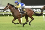 Lees Bullish About Le Romain In Hobartville Stakes