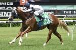 Scarlet Rain Ready To Fire In Sweet Embrace Stakes Scarlet Rain Ready To Fire In Sweet Embrace Stakes