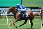 Haptic To Take Up Running In 2015 San Domenico Stakes