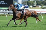 Hawkes Unsure Whether Mihiri Can Beat Catkins In Breeders Classic Hawkes Unsure Whether Mihiri Can Beat Catkins In Breeders Classic