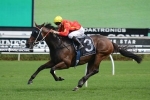 Ninth Legion Could Miss Sir Rupert Clarke Stakes