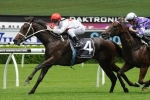 Waller Confident Define Can Stay Trip In 2014 Vinery Stud Stakes