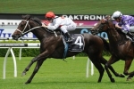 Waller Confident Define Can Stay Trip In 2014 Vinery Stud Stakes Waller Confident Define Can Stay Trip In 2014 Vinery Stud Stakes