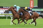 Adelaide Cup Distance Test For Big Memory