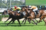 2017 Breeders Classic Day Results: In Her Time Salutes 2017 Breeders Classic Day Results: In Her Time Salutes