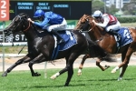 Veranillo Into Golden Slipper Calculations After Lonhro Plate Win Veranillo Into Golden Slipper Calculations After Lonhro Plate Win