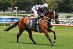Amicus will need plenty of luck from wide barrier in Coolmore Classic