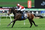 Orman’s Target In Sight is a win in the BTC Cup Orman’s Target In Sight is a win in the BTC Cup