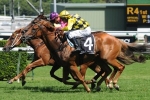 Northam Pleased with Big Money Ahead of Ramornie Handicap