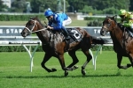 2016 Apollo Stakes Results: Winx Wins 2016 Apollo Stakes Results: Winx Wins