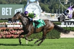 Global Glamour looking to slot into The Everest Global Glamour looking to slot into The Everest
