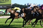 Lees wraps up winning treble with Zestful in Triscay Stakes Lees wraps up winning treble with Zestful in Triscay Stakes