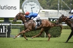 Haptic To Run In San Domenico Stakes