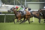 Heart Testa Takes Out Southern Cross Stakes Heart Testa Takes Out Southern Cross Stakes
