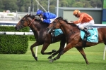 Alizee firms in Chipping Norton betting after Apollo Stakes win