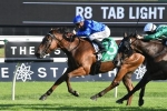 Alizee returns with win in Light Fingers Stakes