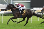 Canterbury Stakes Field And Barrier Draw Released Canterbury Stakes Field And Barrier Draw Released