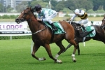 Monton To Resume In Show County Quality Monton To Resume In Show County Quality