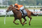 2014 Manikato Stakes: Terravista Arrives In Melbourne 2014 Manikato Stakes: Terravista Arrives In Melbourne