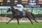 Dark Eyes looking at 2400m for 1st time in Mornington Cup