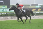 Melbourne Spring Carnival unlikely for La Bella Diosa