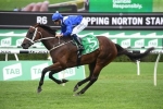 Winx is 1 of 12 Waller trained horses in 2019 George Ryder Stakes nominations