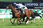 Crack Me Up on target for Doncaster Mile after win in Liverpool City Cup