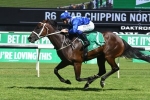 Winx to be challenged by international invitees in 2018 Cox Plate