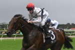 No Champagne Stakes for Frolic No Champagne Stakes for Frolic
