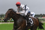 Frolic Defeats Golden Slipper Favourite in Reisling Stakes