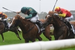 Gunnison To Golden Slipper After Todman Stakes Victory Gunnison To Golden Slipper After Todman Stakes Victory