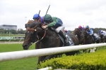 Twelve 3yos make up the 2017 Rosehill Guineas Field Twelve 3yos make up the 2017 Rosehill Guineas Field