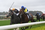 Le Romain is the 2017 Canterbury Stakes Winner