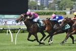 French Fern causes upset win in Reisling Stakes