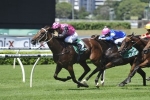 French Fern to take her place in 2016 Golden Slipper field French Fern to take her place in 2016 Golden Slipper field