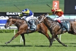 Le Romain chasing back to back G1 wins in Rosehill Guineas