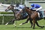 Sydney Cup now for Randwick City Stakes winner Libran