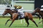 Griante too strong in Wenona Girl Handicap