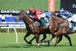 Hallowed Crown ready for 2000m in Rosehill Guineas