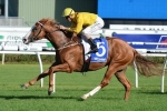 Miracles Of Life On Track For Homecoming In Robert Sangster Stakes