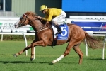 Miracles Of Life On Track For Homecoming In Robert Sangster Stakes Miracles Of Life On Track For Homecoming In Robert Sangster Stakes