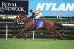 Waller rules out William Reid Stakes for Nature Strip