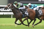 Schillaci Stakes winner to finalise The Everest line up