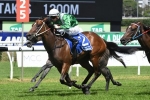 Estijaab keeps Golden Slipper chances alive with Reisling Stakes win