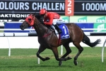 Redzel draws perfectly in 2018 T J Smith Stakes final field