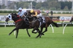 Dissident Can Handle Wet Track In Rosehill Guineas